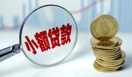 成都青羊区正规短借-成都青羊区民间借贷无视黑白-成都青羊区身份证办理贷款