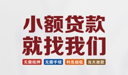 成都青羊区小额短借-成都青羊区私人借贷平台-成都青羊区个人借钱