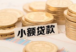 成都青羊区哪里有小额贷款-成都青羊区身份证贷款平台-成都青羊区民间短借