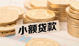 成都青羊区哪里有小额贷款-成都青羊区身份证贷款平台-成都青羊区民间短借