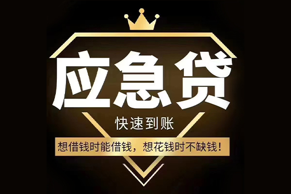 成都青羊区用身份证借私借